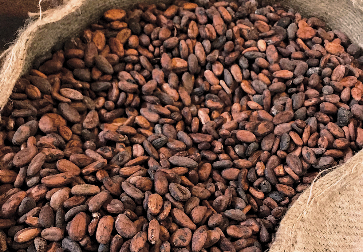 Cocoa – Cabossa